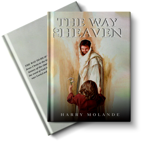 The way to heaven - Hardcover